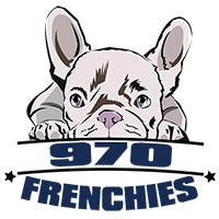 970 Frenchies